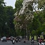 Jalan Gresikan Surabaya