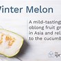 Winter Melon Adalah